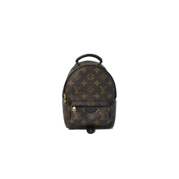 Louis Vuitton Monogram Mini Palm Springs Brown - Picture 1 of 3